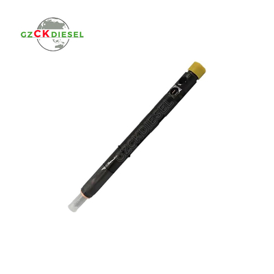 Dizel Common Rail Yakıt Enjeksiyonu EJBR05601D 166000897R