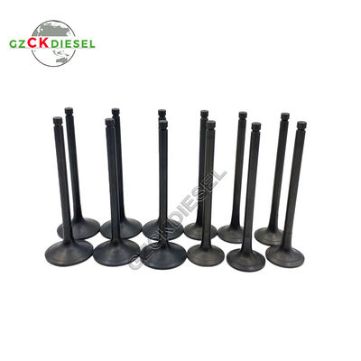 Yeni egzoz valfi 5I-7739  Excavator 311C 312C 320C 320C L 320D için giriş valfi 212-8477