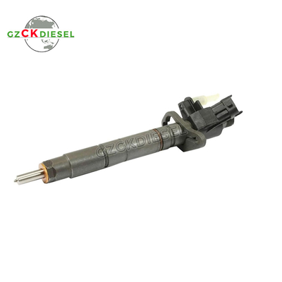 Yakıt Enjektörü 0445116012 0445116013 0445116064 0445116065 02C2C40577 Citroen C5 C6 3.0 için