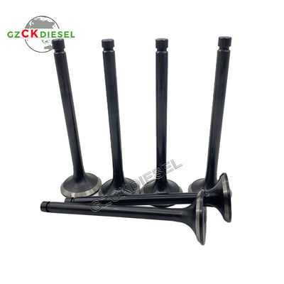 Mitsubishi 6D22 6D22T Motoru için egzoz valfi ME051073 ME051697 Giriş valfi ME051063